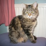 It's all a facade. Secretly she is plotting your demise.