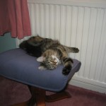 You are gazing into the face of an evil mastermind.